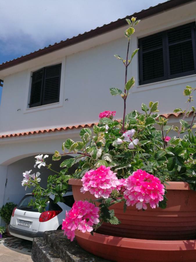Apartment Nela Vinkuran Bagian luar foto